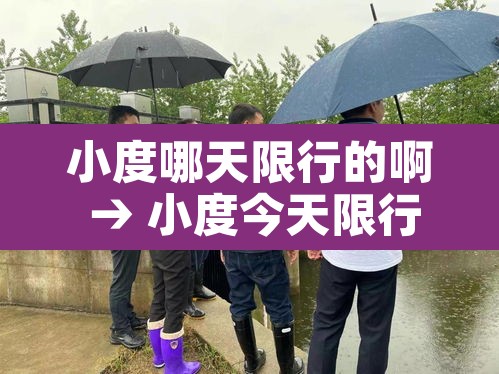 小度哪天限行的啊 → 小度今天限行多少 小度哪天限行的啊 → 小度今天限行多少