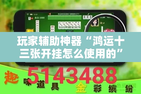 玩家辅助神器“鸿运十三张开挂怎么使用的”其实确实有挂