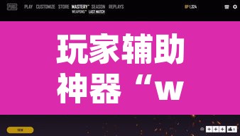 玩家辅助神器“wepoker辅助作弊挂透视方法”(透视)其实确实有挂