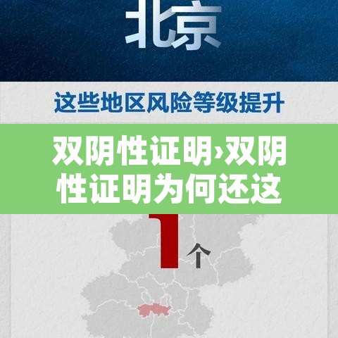 双阴性证明›双阴性证明为何还这么多输入