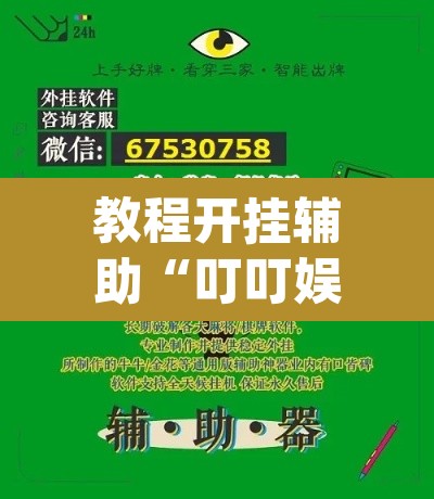 教程开挂辅助“叮叮娱乐辅助	”(透视挂)辅助透视教程