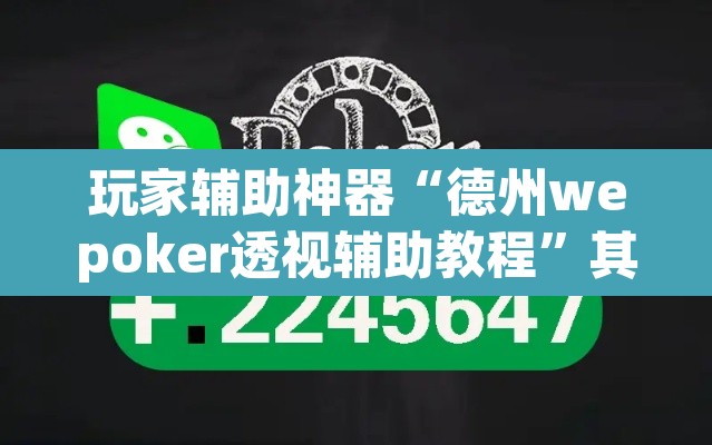 玩家辅助神器“德州wepoker透视辅助教程”其实确实有挂