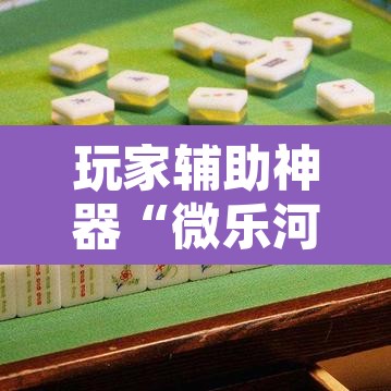 玩家辅助神器“微乐河北麻将有挂吗”附辅助神器开挂脚本详细步骤