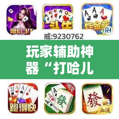 玩家辅助神器“打哈儿麻将免费开挂下载”(透视)其实确实有挂