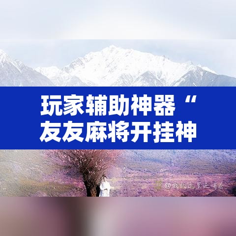 玩家辅助神器“友友麻将开挂神器”开挂辅助脚本+详细开挂安装教程