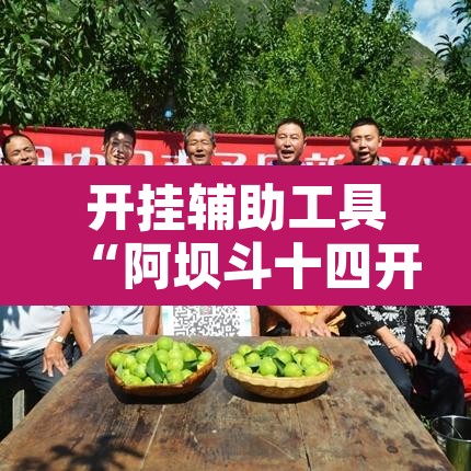 开挂辅助工具“阿坝斗十四开挂神器	”其实确实有挂