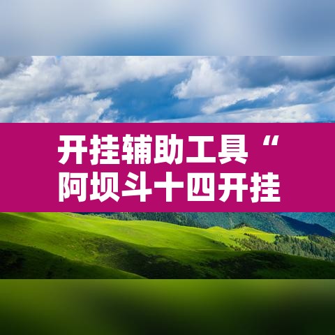 开挂辅助工具“阿坝斗十四开挂神器	”其实确实有挂