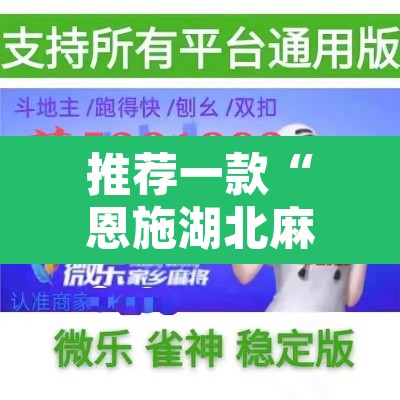 推荐一款“恩施湖北麻将到底能不能开挂”开挂辅助脚本+详细开挂安装教程