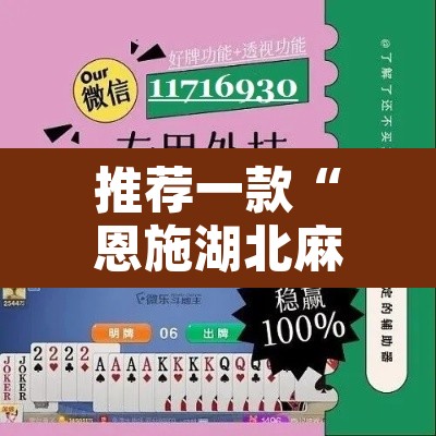 推荐一款“恩施湖北麻将到底能不能开挂”开挂辅助脚本+详细开挂安装教程