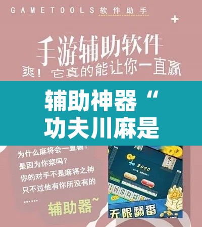辅助神器“功夫川麻是不是有透视辅助挂”开挂辅助脚本+详细开挂安装教程