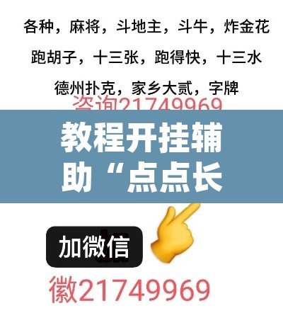 教程开挂辅助“点点长牌透视挂的软件”(透视挂)辅助透视教程