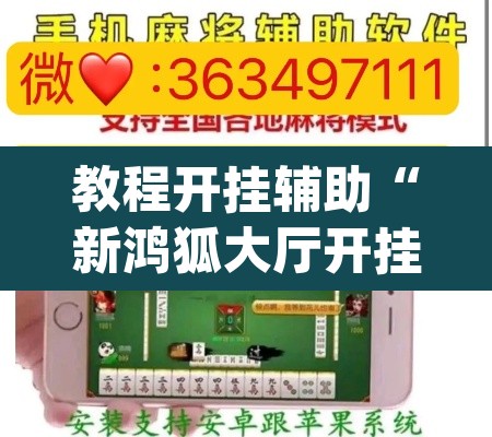 教程开挂辅助“新鸿狐大厅开挂”(透视挂)辅助透视教程