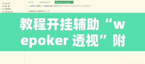 教程开挂辅助“wepoker 透视”附辅助神器开挂脚本详细步骤