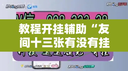 教程开挂辅助“友间十三张有没有挂	”(透视挂)辅助透视教程