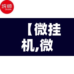 【微挂机,微挂机动】 【微挂机,微挂机动】