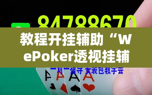 教程开挂辅助“WePoker透视挂辅助软件	”(透视挂)辅助透视教程
