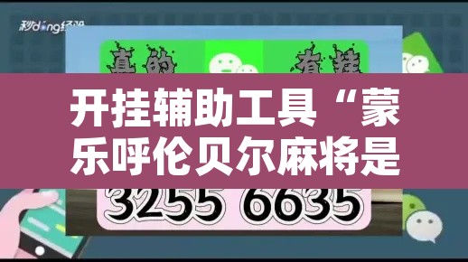 开挂辅助工具“蒙乐呼伦贝尔麻将是怎么开挂的”其实确实有挂