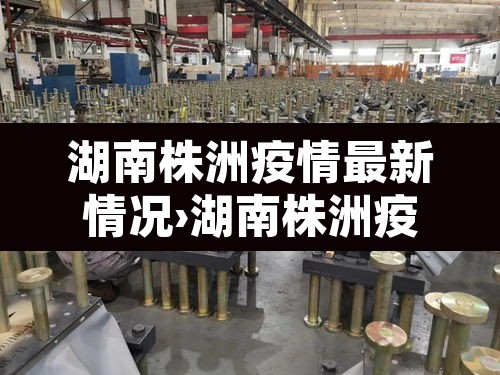 湖南株洲疫情最新情况›湖南株洲疫情最新消息2021