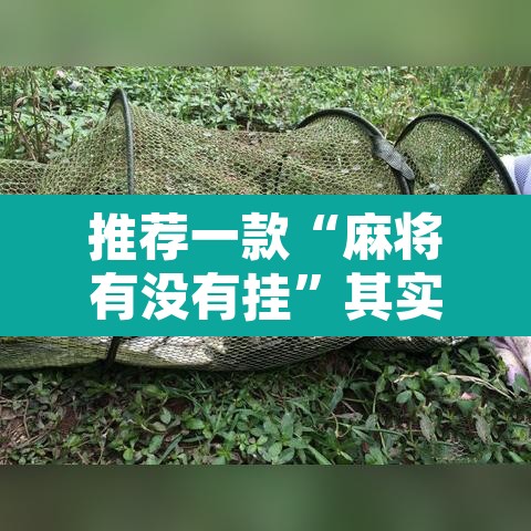 推荐一款“麻将有没有挂	”其实确实有挂