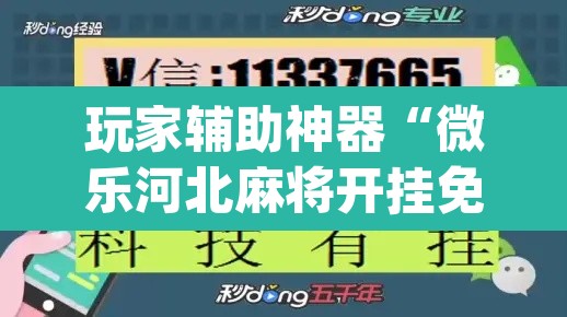 玩家辅助神器“微乐河北麻将开挂免费下载”(透视挂)辅助透视教程