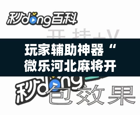 玩家辅助神器“微乐河北麻将开挂免费下载”(透视挂)辅助透视教程
