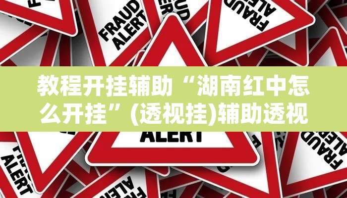 教程开挂辅助“湖南红中怎么开挂”(透视挂)辅助透视教程