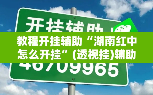 教程开挂辅助“湖南红中怎么开挂	”(透视挂)辅助透视教程