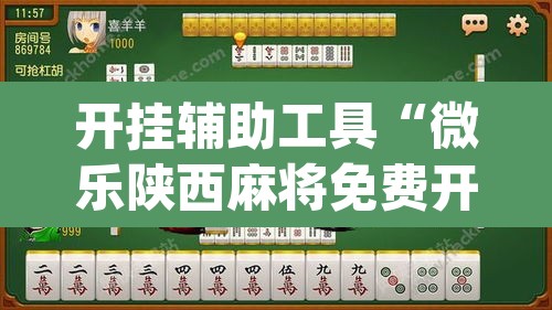 开挂辅助工具“微乐陕西麻将免费开挂神器”(透视挂)辅助透视教程