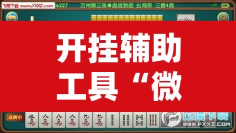 开挂辅助工具“微乐陕西麻将免费开挂神器”(透视挂)辅助透视教程