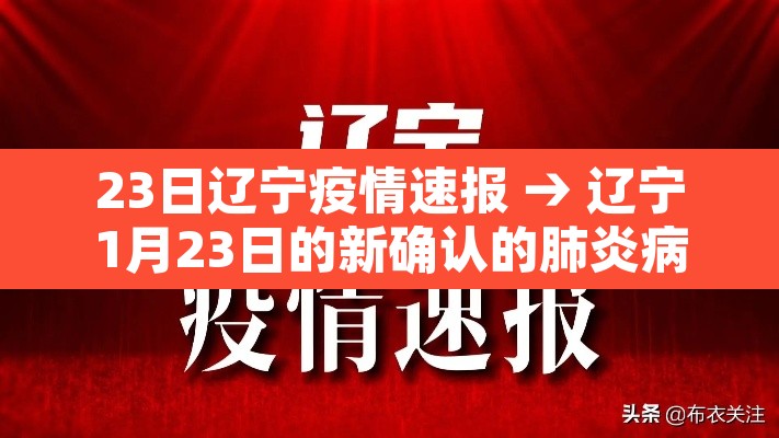 23日辽宁疫情速报 → 辽宁1月23日的新确认的肺炎病例