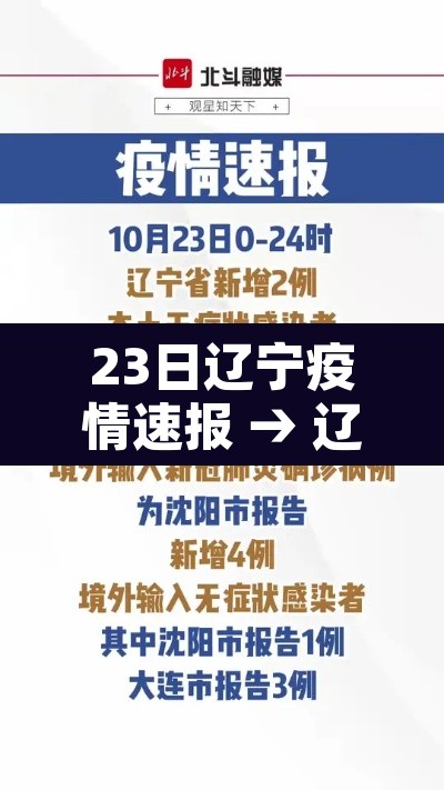 23日辽宁疫情速报 → 辽宁1月23日的新确认的肺炎病例