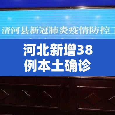 河北新增38例本土确诊—(河北新增32本土确诊轨迹) 河北新增38例本土确诊—(河北新增32本土确诊轨迹)