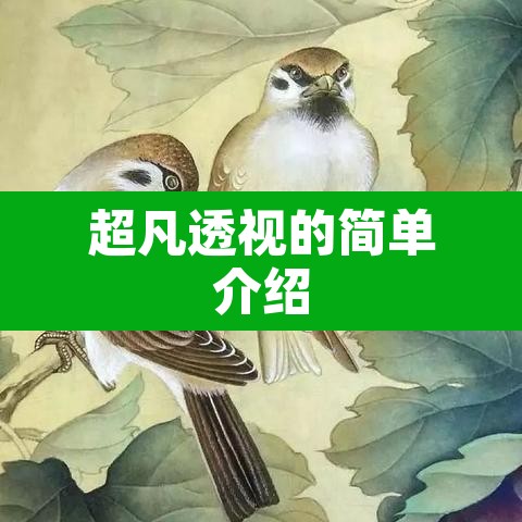 超凡透视的简单介绍
