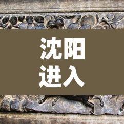 沈阳进入战时状态：沈阳战时状态封城吗