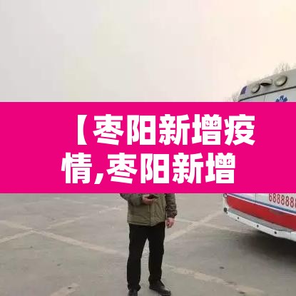 【枣阳新增疫情,枣阳新增病例】