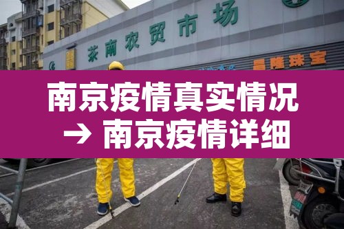 南京疫情真实情况 → 南京疫情详细数据