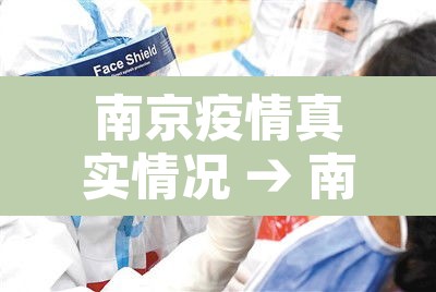 南京疫情真实情况 → 南京疫情详细数据