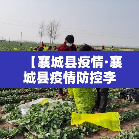 【襄城县疫情·襄城县疫情防控李恒】 【襄城县疫情·襄城县疫情防控李恒】