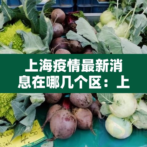 上海疫情最新消息在哪几个区:上海疫情最新地区公布如下 上海疫情最新消息在哪几个区:上海疫情最新地区公布如下