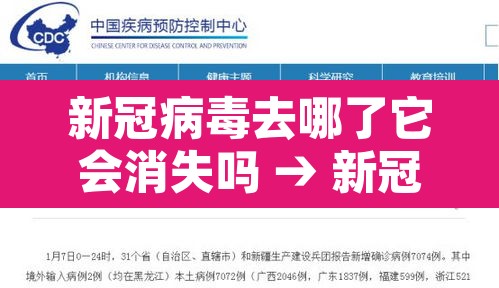 新冠病毒去哪了它会消失吗 → 新冠病毒都在哪可以存活
