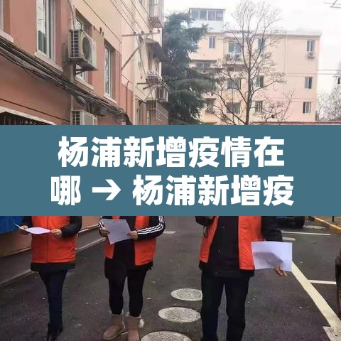 杨浦新增疫情在哪 → 杨浦新增疫情在哪个街道