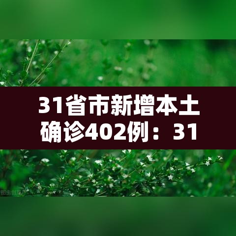31省市新增本土确诊402例：31省区市新增本土确诊29例