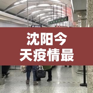 沈阳今天疫情最新情况›沈阳今天疫情的情况 沈阳今天疫情最新情况›沈阳今天疫情的情况