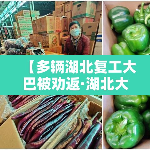 【多辆湖北复工大巴被劝返·湖北大巴停运了吗】 【多辆湖北复工大巴被劝返·湖北大巴停运了吗】