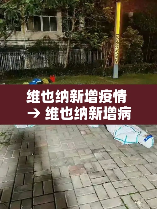维也纳新增疫情 → 维也纳新增病例