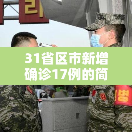 31省区市新增确诊17例的简单介绍