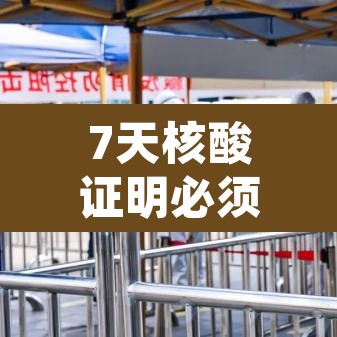 7天核酸证明必须要纸质的吗 → 7天内核酸检测报告需要纸质的吗