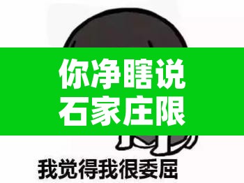 你净瞎说石家庄限行›石家庄限行时间路段