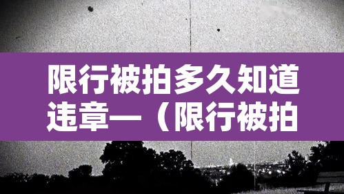 限行被拍多久知道违章—(限行被拍了多久会收到信息) 限行被拍多久知道违章—(限行被拍了多久会收到信息)