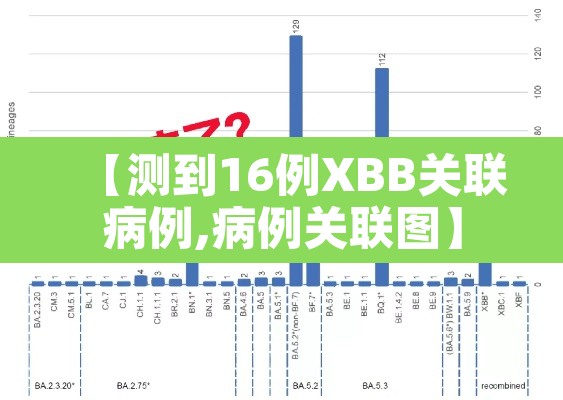 【测到16例XBB关联病例,病例关联图】 【测到16例XBB关联病例,病例关联图】